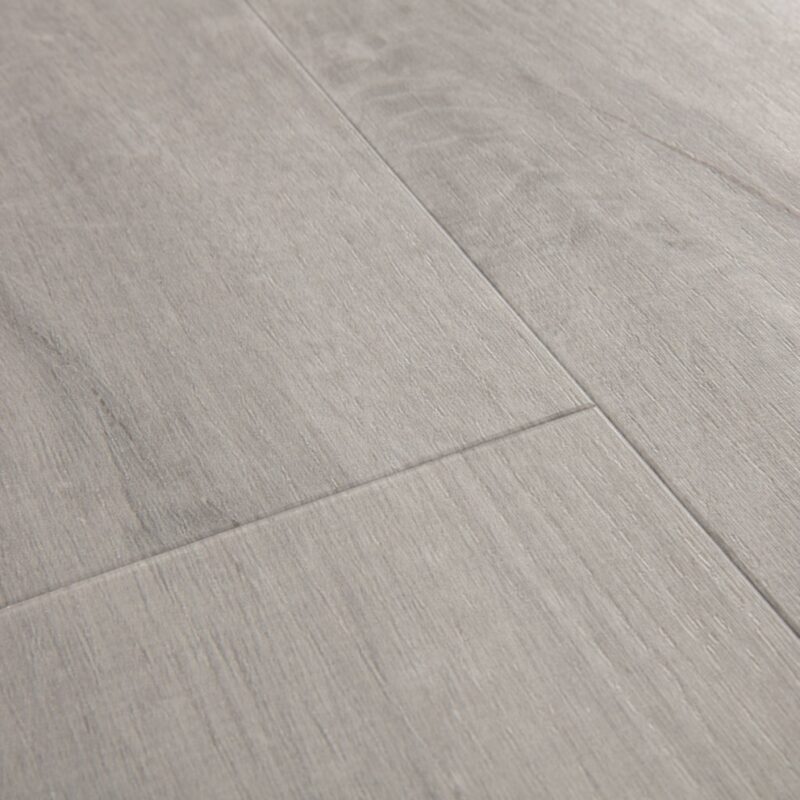 Chênecoton gris angle