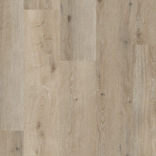Noble oak