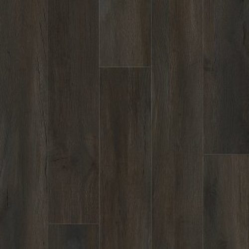 RAVEN Coretec