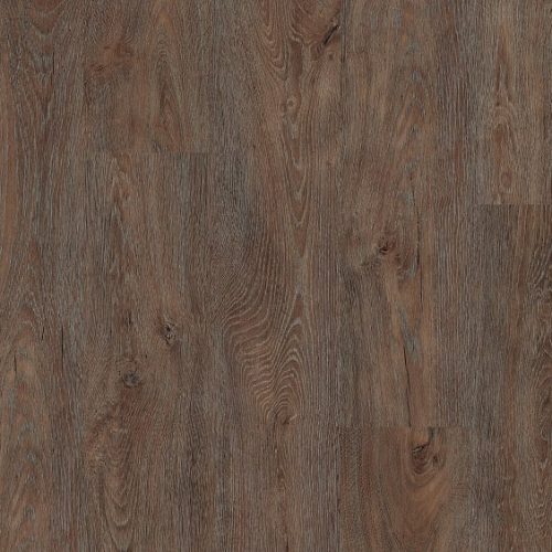 VV153_09601_MAIN