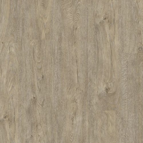 VV153_09604_MAIN