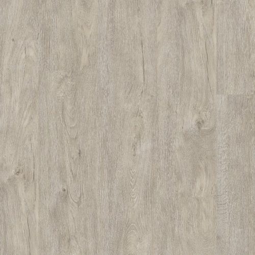 VV153_09606_MAIN