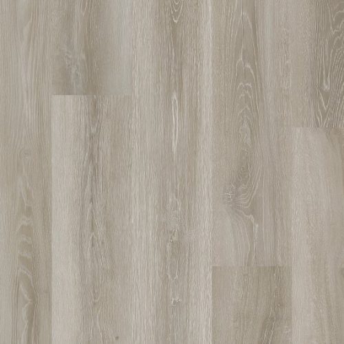 VV153_09611_MAIN