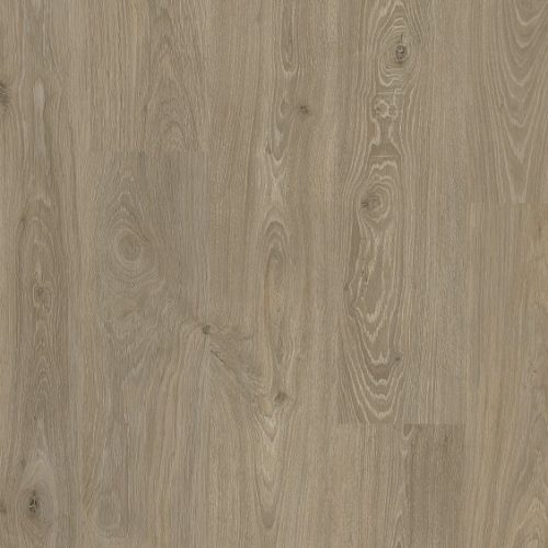 VV153_09613_MAIN