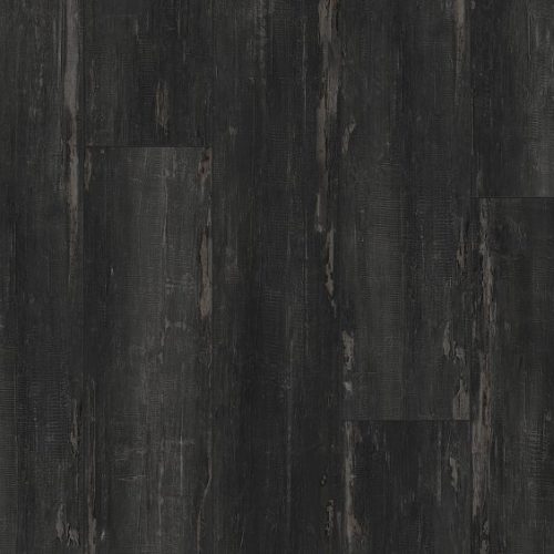 VV377_00960_MAIN