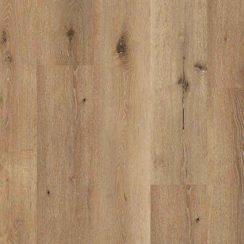 VV427_00804_MAIN