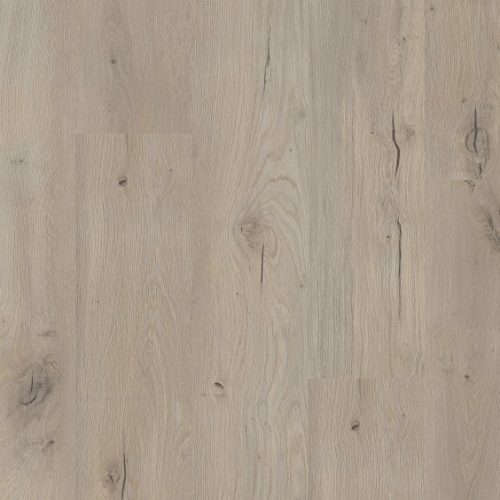 VV427_00805_MAIN