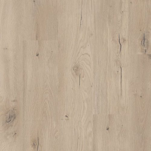 VV427_00806_MAIN
