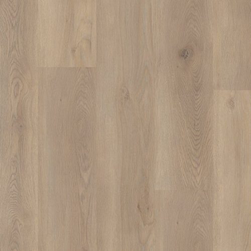 VV427_00807_MAIN