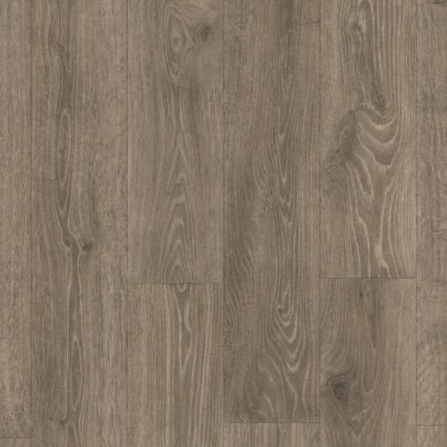 chene des bois marron 3