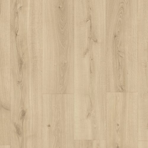 chene désert naturel clair 2