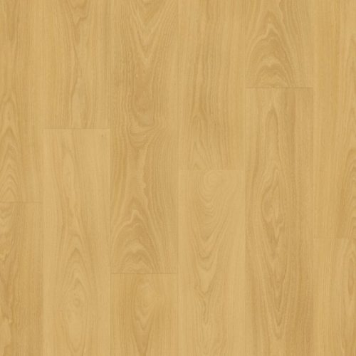 cq5dam web (1)