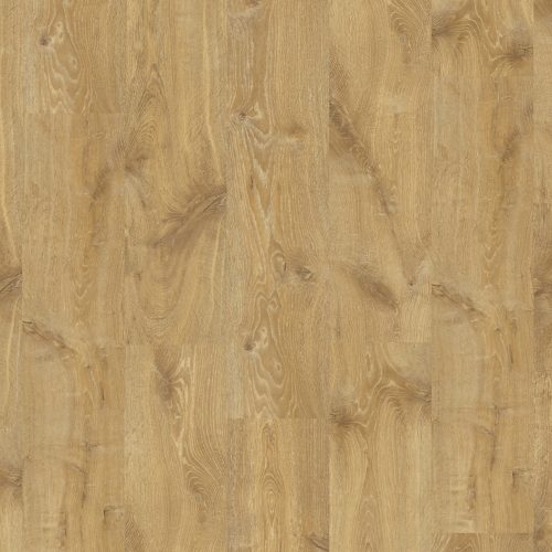 cq5dam web (1)