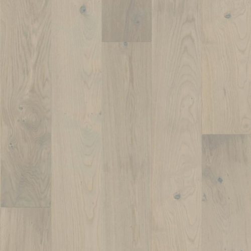 gris subtils - huile grise